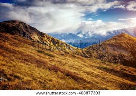Fantastic views of the magical place at the foot of Mt. Ushba. Picturesque scene. Location famous resort Mestia, Upper Svaneti, Georgia, Europe. High Caucasus ridge. Artistic picture. Beauty world.