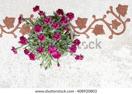  flowers of carnations above old marble flooring with red ivy decoration, light background