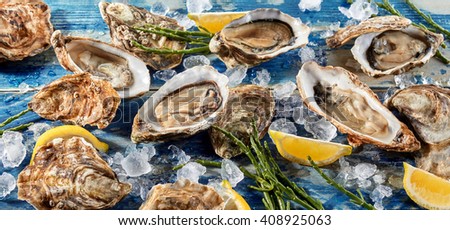 Buffet of fresh shucked oysters on ice with green seaweed shoots and wedges of tangy lemon for flavoring, high angle, full frame view Royalty-Free Stock Photo #408925063