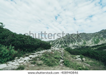 path of stones lying far away in the mountains