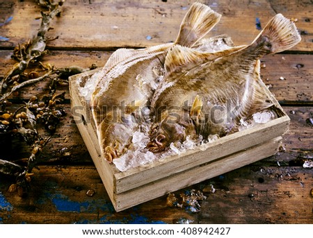Two freshly caught flatfish, either halibut, flounder or sole, displayed in a small wooden crate of ice with fresh kelp seaweed alongside on an old rustic wooden table or floor