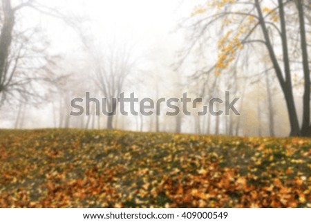  a park in the autumn, during cloudy weather, late autumn, defocused