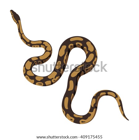 Brown python snake vector isolated on white background