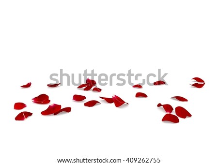 Red rose petals scattered on the floor. White isolated background Royalty-Free Stock Photo #409262755
