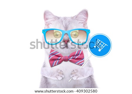 Smart handsome cat with icon basket. Funny animals. Trendy cat dressed in beautiful clothes