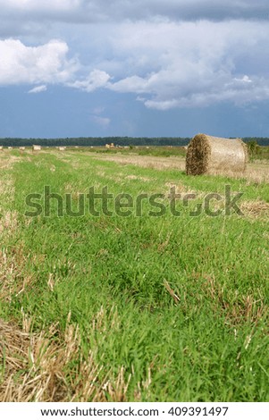 Round straw bales in the meadow, a vertical picture