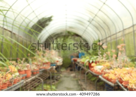 greenhouse de focused abstract background
