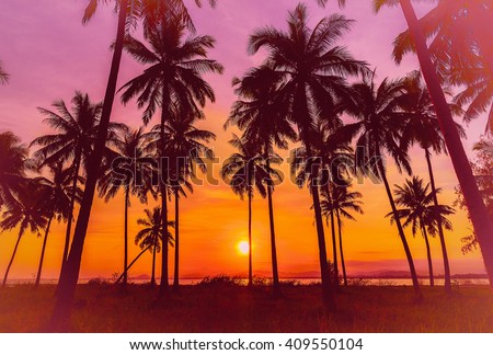 Silhouette coconut palm trees on beach at sunset. Vintage tone. Royalty-Free Stock Photo #409550104