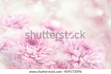 Soft blurred of gerbera flowers with soft bokeh in pastel tone for background.