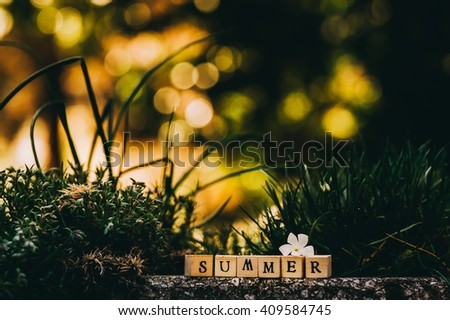 Summer text of the dice on a background stone and grass
