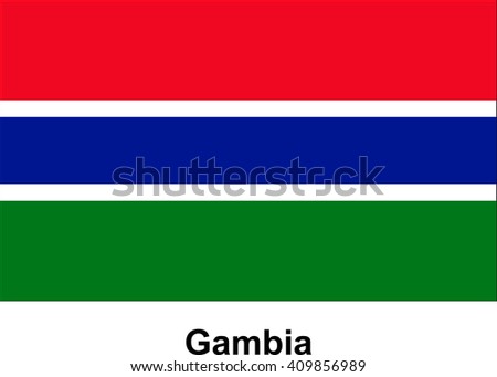 vector image of flag Gambia