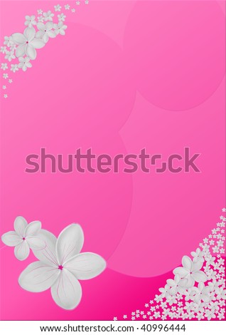 White Plumeria and pink background Design