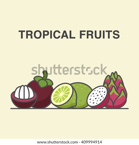 Tropical fruits illustration with mangosteen, lime and dragon fruit.