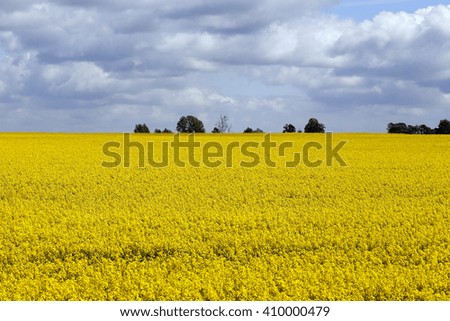   Photo made at the agricultural farm for the production of agricultural products