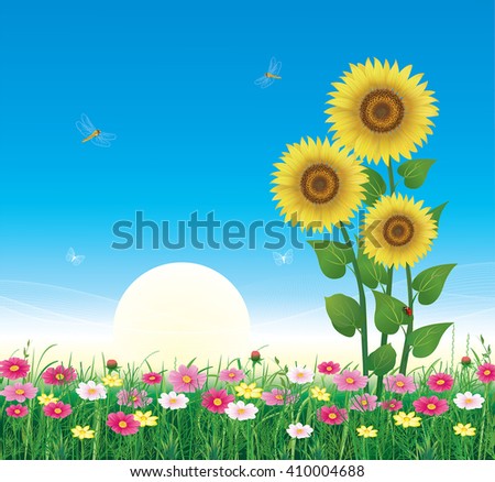 Flower meadow with daisies and sunflowers