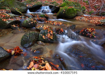 Autumn creek woods with yellow and red foliage and rocks in forest mountain.