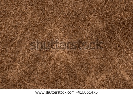Rough old brown leather background.