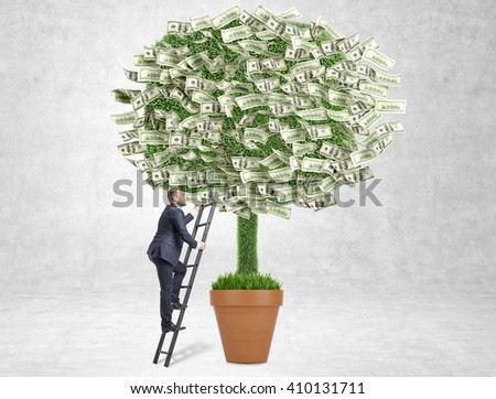Business growth concept with businessman climbing dollar banknote tree on concrete background