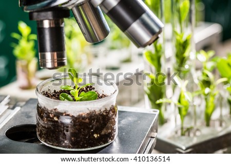 Academic laboratory exploring new methods of plant breeding Royalty-Free Stock Photo #410136514
