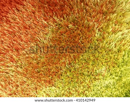 Colorful of carpet. Background. Textile texture.