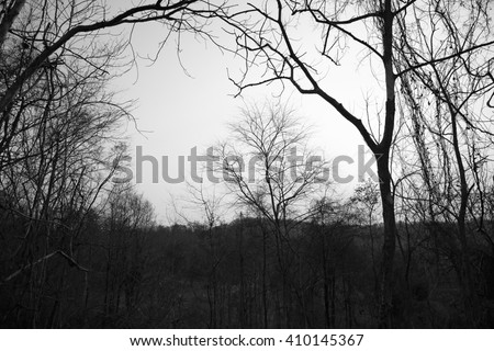 sunset over the wild, black and white background