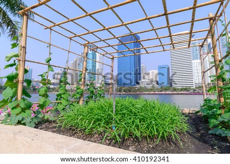 Vegetable plantation in urban garden. Royalty-Free Stock Photo #410192341
