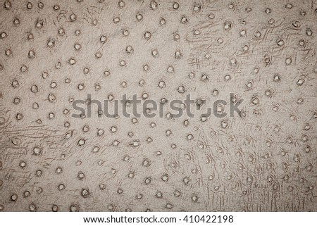 Background. Colored paper structure. Background texture skins of wild animals