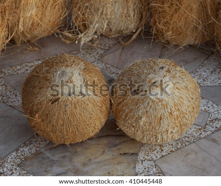 Dry Coconut for produce coconut milk
