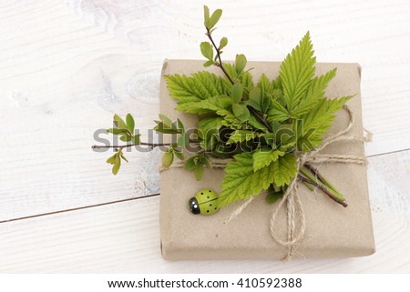 A very cute gift box wrapped with grey craft paper and decorated with small green wooden ladybirds and natural lush green leafs. Simple eco style