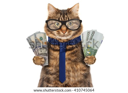 Funny cat is holding banknotes of Dollar and Euro. Business theme.