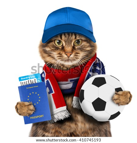 Funny cat is holding soccer ball and passport of European Union. Scarf of France. 
Football theme.