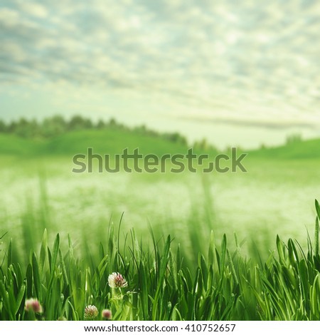 Beauty spring time. Abstract natural backgrounds