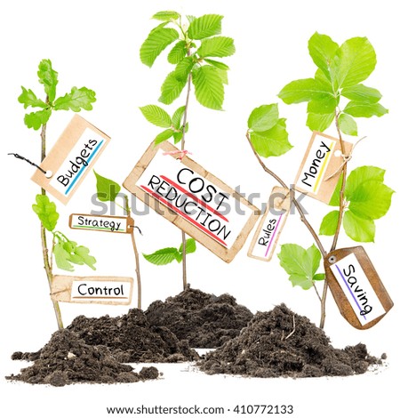 Photo of plants growing from soil heaps with COST REDUCTION conceptual words written on paper cards