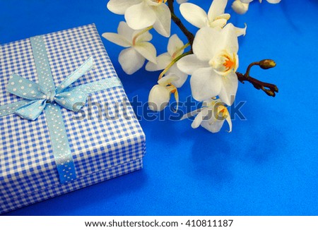 Checkered blue and white gift box with white orchid blue background