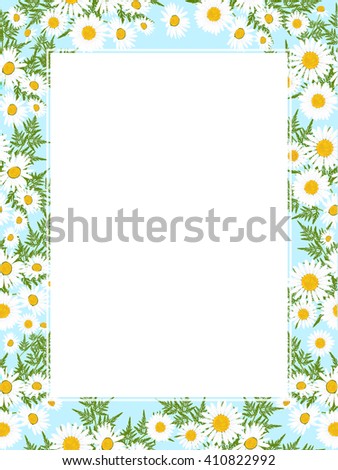 Floral background with daisies flowers. Vector illustration.