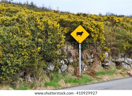 Sheep crossing road sign, Ireland
