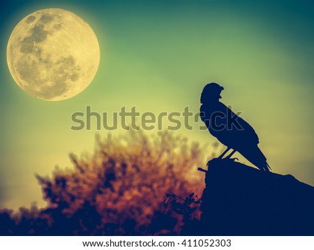 Beautiful night sky with full moon, tree, clouds and crow on stone that can be used for halloween. Vignette and vintage picture style. Outdoors.