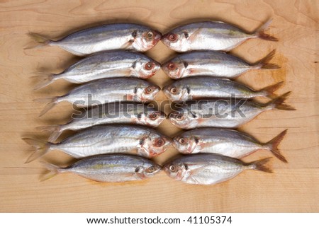 Twelve fish on a wood cutting board background.  All eyes and fins.