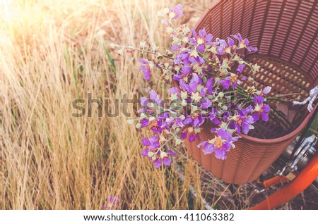 Flowers in basket on bicycle with dry grass background