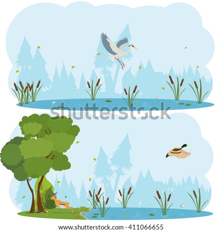nature scenes. Scene lakes and swamps with living birds. vector