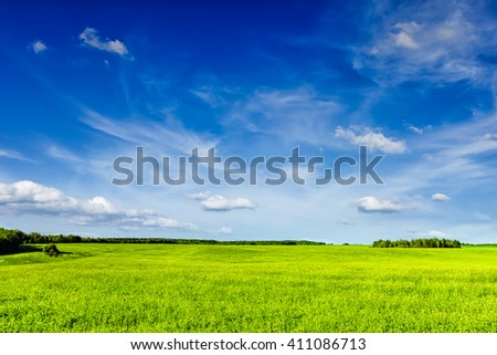 Spring summer background - green grass field meadow scenery lanscape with blue sky Royalty-Free Stock Photo #411086713