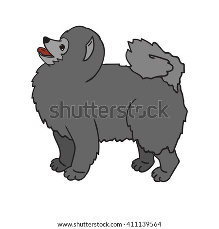 Cute grey spitz isolated on white background. Funny dog. Vector illustration.  Eps 10.