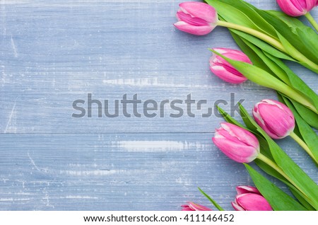 Tulips on a blue background with copyspace