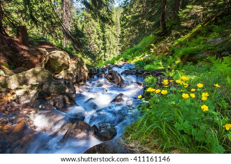 Rapid mountain stream in the green forest glowing by sunlight. Dramatic and picturesque scene. Location place National park Chornogora, Carpathian, Ukraine, Europe. Artistic picture. Beauty world.
