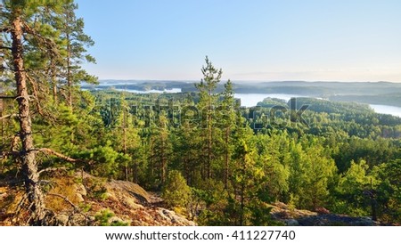 Landscape of Saimaa lake from above, Finland