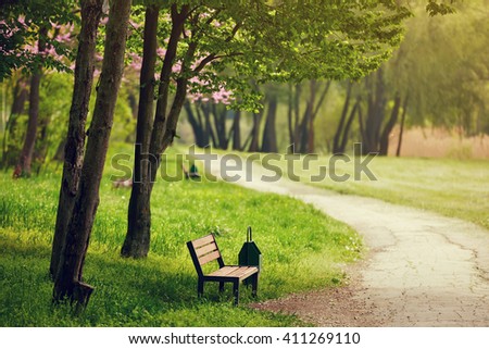 beautiful bench in the park. spring sunny day