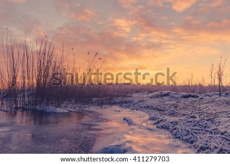 Frozen lake with grass silhouettes in the sunrise