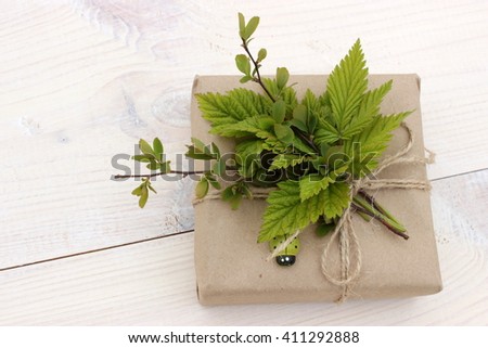 A very cute small gift box wrapped with craft paper and jute decorated with natural grass and leafs, and green wooden ladybird