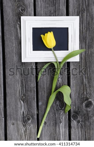 Picture frame  with yellow tulips 13