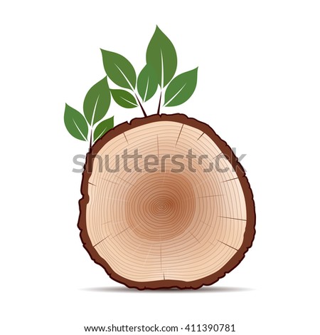 Rings of Tree and Green Leafs. Color Vector Illustration.